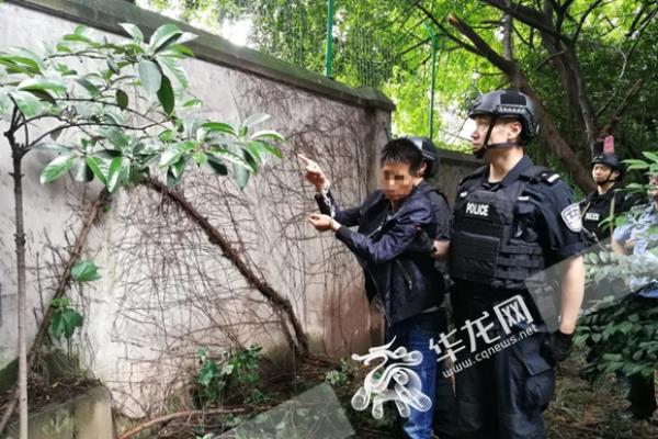 金岛花园属于哪个派出所.