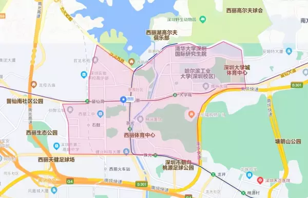 留仙居的房子能买吗(1)
