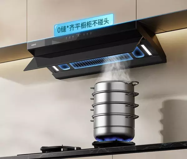 海尔油烟机怎么样十大品牌排行榜(10)