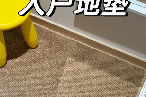 门垫门厅入户脚垫什么材质好.
