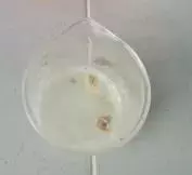 管道通疏通剂哪个牌子的效果好(4)