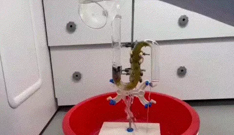 管道通疏通剂哪个牌子的效果好(6)