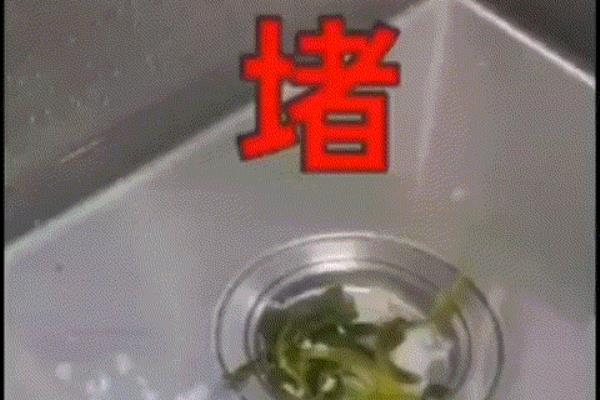 管道通疏通剂哪个牌子的效果好.