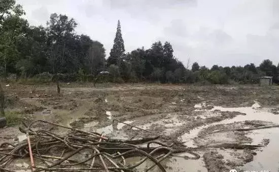 南湖逸家属于哪个街道办(13)