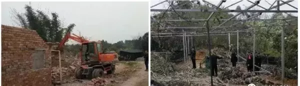 南湖逸家属于哪个街道办(14)