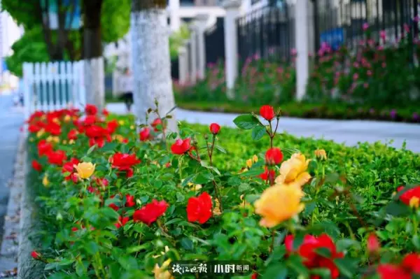 吴越山庄公寓房二手房价格(1)