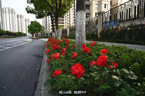 吴越山庄公寓房二手房价格(3)