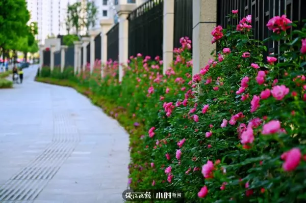 吴越山庄公寓房二手房价格(4)