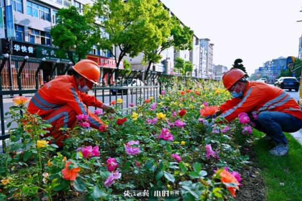 吴越山庄公寓房二手房价格.