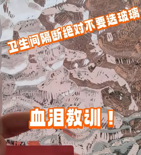 卫生间干湿分离用什么隔断比较好(4)