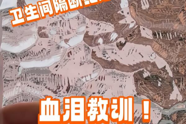 卫生间干湿分离用什么隔断比较好.