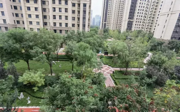 天山九峯是学区房吗(13)