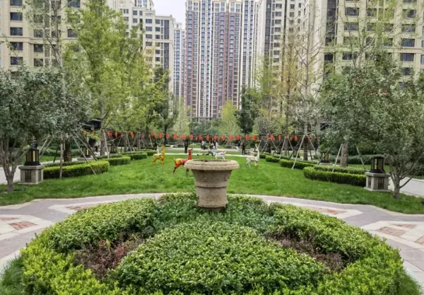 天山九峯是学区房吗(14)