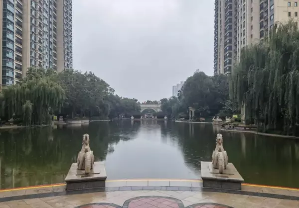 天山九峯是学区房吗(15)