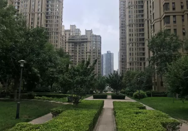 天山九峯是学区房吗(20)