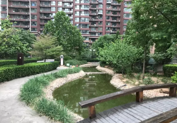 天山九峯是学区房吗(3)