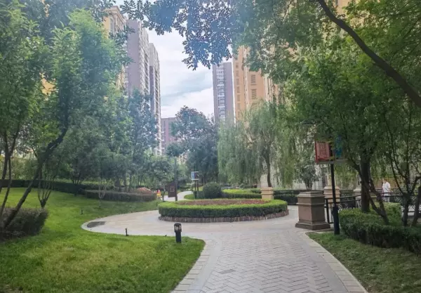 天山九峯是学区房吗(7)