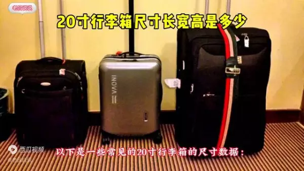 20英寸行李箱有多大尺寸(2)