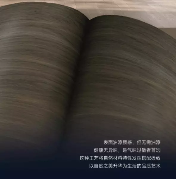 诗尼曼板材是什么牌子的(13)