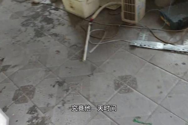 0.39千瓦时24小时等于多少度电.