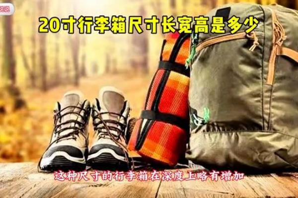 20英寸行李箱有多大尺寸.