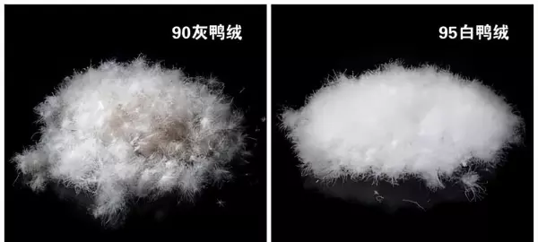 丝棉和羽绒棉的区别,哪个更好(11)