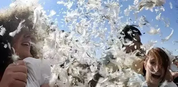 丝棉和羽绒棉的区别,哪个更好(12)
