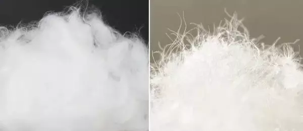 丝棉和羽绒棉的区别,哪个更好(4)