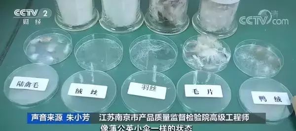 丝棉和羽绒棉的区别,哪个更好(6)