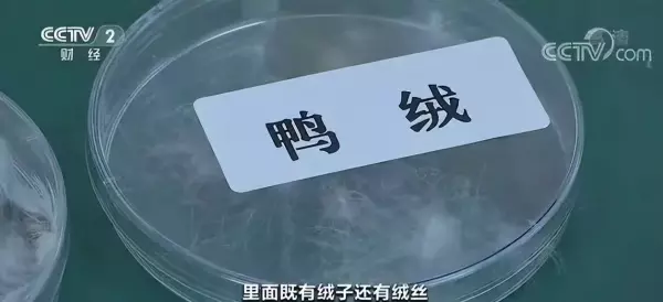 丝棉和羽绒棉的区别,哪个更好(8)
