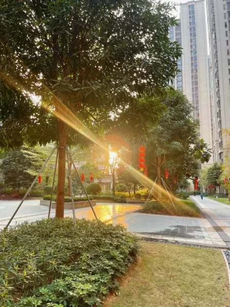 上海临港新城房价为什么便宜(3)