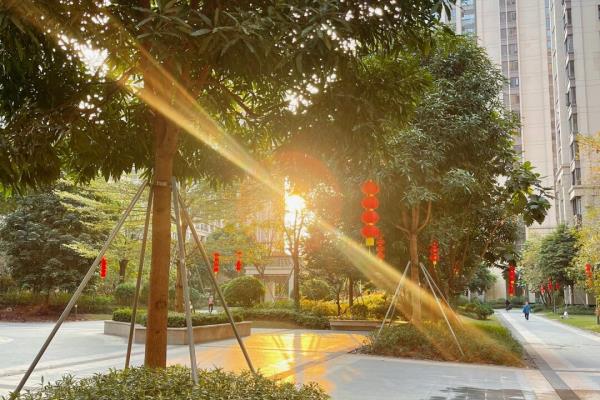 上海临港新城房价为什么便宜.