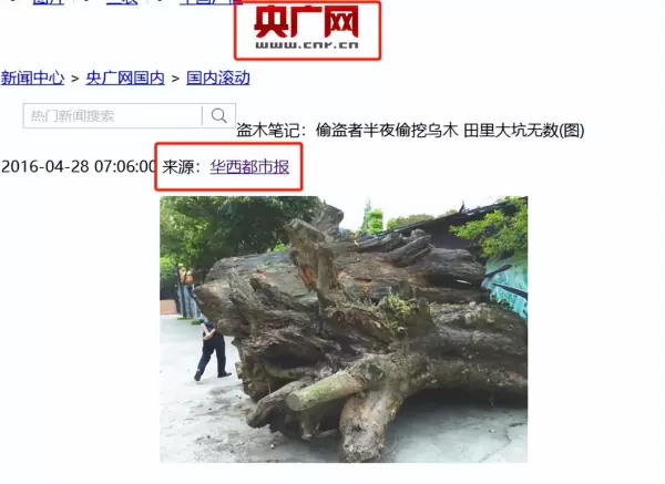 阴沉木是什么木头价值多少钱一斤(11)