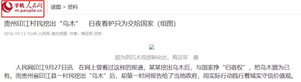 阴沉木是什么木头价值多少钱一斤(14)