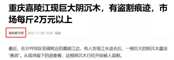 阴沉木是什么木头价值多少钱一斤(3)