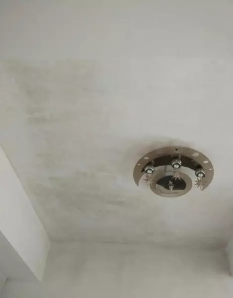屋子里潮湿发霉的气味怎么消除(7)