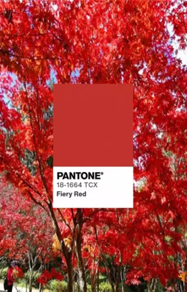 pantone什么颜色(1)