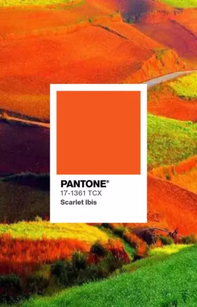 pantone什么颜色(4)
