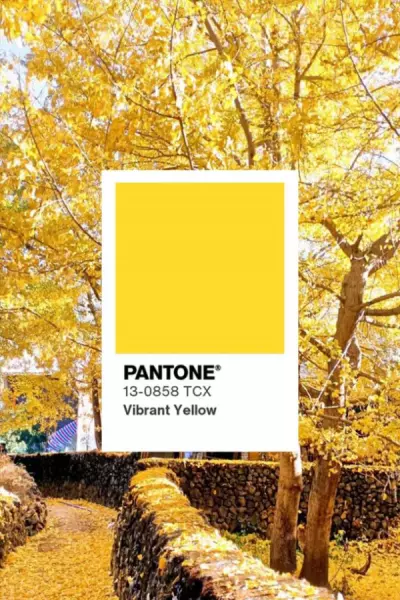 pantone什么颜色(5)