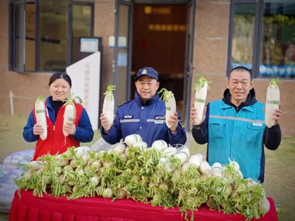 容桂碧桂园凤凰湾物消防合格吗(1)