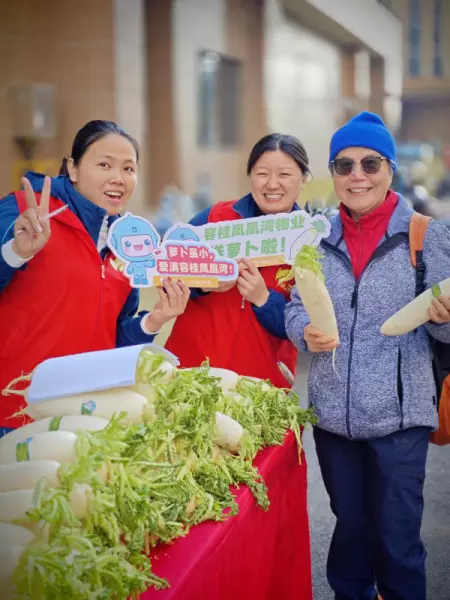 容桂碧桂园凤凰湾物消防合格吗(3)