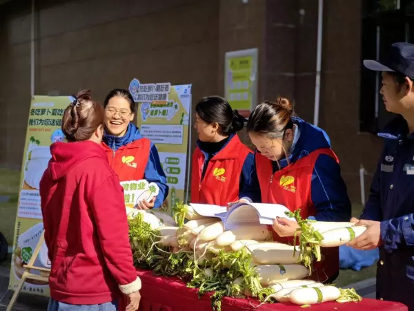 容桂碧桂园凤凰湾物消防合格吗(4)
