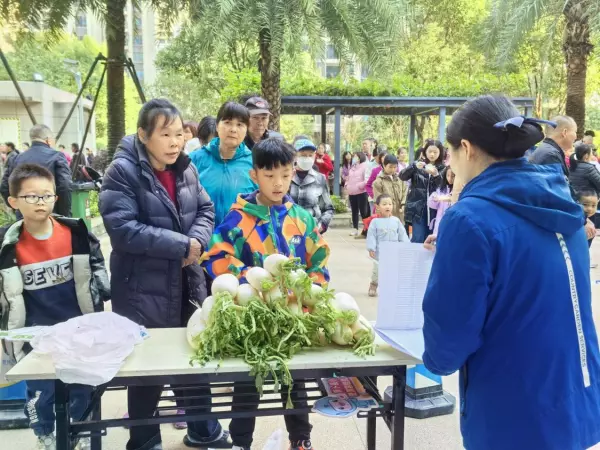容桂碧桂园凤凰湾物消防合格吗(5)