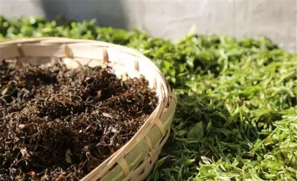 竹园小区对面沂蒙冷食怎么样(33)