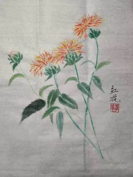 新疆红花和藏红花功效的区别(2)