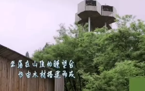 马清运为马伯骞设计的房子(13)