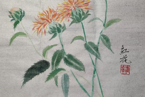 新疆红花和藏红花功效的区别.