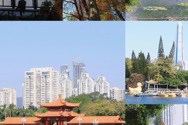碧海湾公园有什么景点.