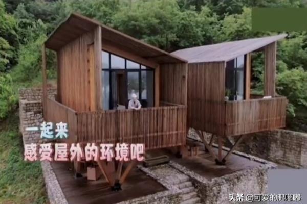 马清运为马伯骞设计的房子.