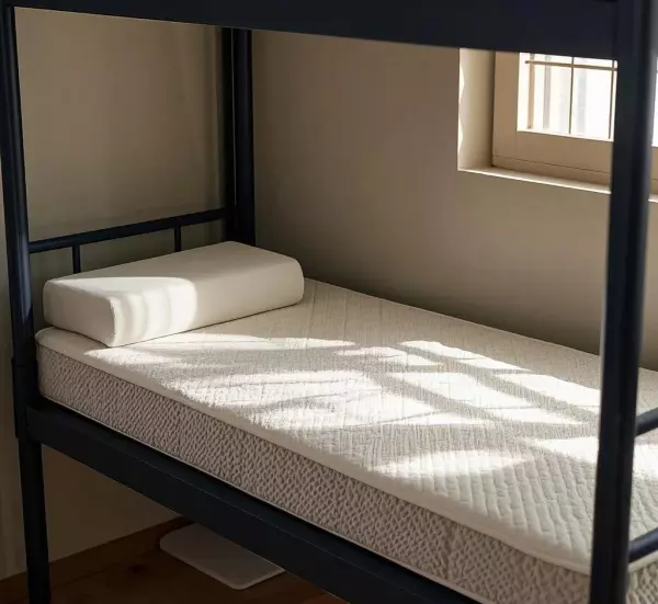 榻榻米定制床垫什么品牌好(3)
